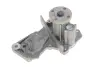 Комплект ГРМ + помпа Ford C-Max/Fiesta/Focus/Mondeo/Mazda 3 1.2-1.6 07-12 (22x117z)(VKPC 84217) SKF VKMC 04226 (фото 5)