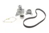 Комплект ГРМ + помпа Hyundai Accent/Elantra/Getz/Kia Rio 1.4/1.5/1.6 95- (22x105z) SKF VKMC 95632