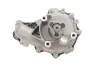 Помпа води Fiat Ducato 2.2D/Citroen Jumper 2.2HDI/Ford Transit 2.2TDCi 06- SKF VKPA 84700 (фото 8)