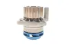 Водяний насос VAG A3/Ibiza/Leon/Octavia/Bora/Caddy/Golf \'\'1,9TDi "95>> ="" SKF VKPC 81623 (фото 5)