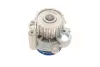 Водяний насос VAG A3/Ibiza/Leon/Octavia/Bora/Caddy/Golf \'\'1,9TDi "95>> ="" SKF VKPC 81623 (фото 9)