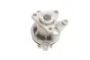 Помпа води Ford C-Max I/Focus II/III/Mondeo III/IV/V/Mazda 3/5/6/CX-7 1.8/2.0/2.3 00- SKF VKPC 84622 (фото 4)