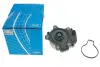 Водяний насос LEXUS/TOYOTA CT/Auris/Prius "1.5-1.8 Hybird "08>> ="" SKF VKPC 91856 (фото 6)