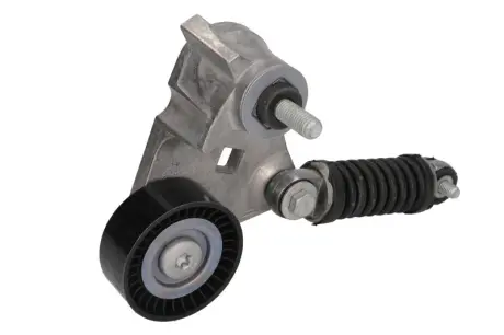 Натяжник ременя генератора Ford Transit 2.0DI 00- SNR SNR NTN GA352.59