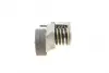 Натяжник ременя генератора VW Caddy III/Golf/Passat 1.2/1.4TSI 10-15/Skoda Fabia/Rapid 10-19 SNR SNR NTN GA357.51 (фото 4)