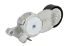 Натяжник ременя генератора Citroen/Peugeot/Ford 1.4HDi/1.6TDCi 01- SNR SNR NTN GA359.00 (фото 2)