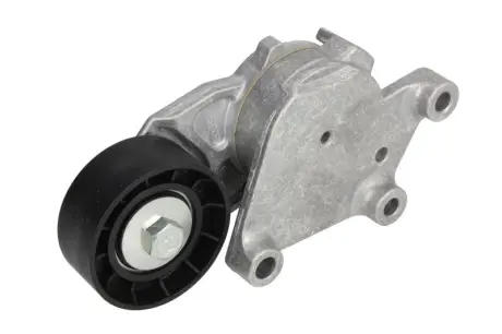 Натяжник ременя генератора Citroen/Peugeot/Ford 1.4HDi/1.6TDCi 01- SNR SNR NTN GA359.00