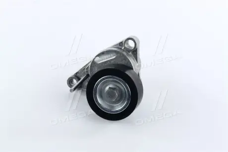Натягувач NTN-SNR SNR NTN GA359.15