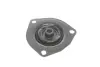 Подушка амортизатора (заднього) Nissan X-Trail 2.0-2.5 dCi 01-13 SNR SNR NTN KB968.04 (фото 2)