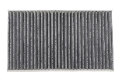 Фільтр салону Tesla Model Y/3 17-(вугільний))) SOFIMA S 4396 CA