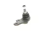 Опора кульова (передня/знизу) Ford C-max 07-10/ Focus 04-12 Solgy 203094 (фото 7)