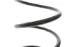 Пружина (передня) Renault Kangoo 1.2/1.2 16V 97- Solgy 212140 (фото 3)