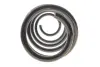 Пружина (передняя) VW Passat B6/B7 1.4-1.8TSI/2.0FSI 05-14/Skoda SuperB 1.4TSI 08-15 Solgy 212142 (фото 4)