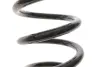 Пружина (задня) Toyota Rav 4 III 2.0 4WD/2.2 D 4WD 05-13 Solgy 212148 (фото 3)