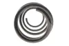 Пружина (передня) Renault Scenic III/Grand Scenic III 1.5dCi/1.6dCi/1.9dCi/2.0 16V 09- Solgy 212151 (фото 3)