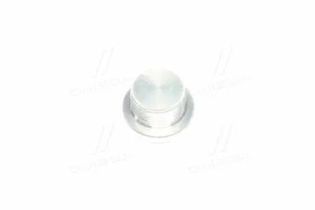 Пробка кпп (олійна) (вир-во SsangYong) SSANGYONG 3111308001