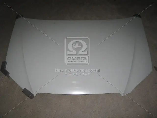 Капот BYD F3 06-13 TEMPEST 206 3456 280 (фото 1)