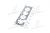 Прокладка головки блоку DAEWOO LANOS 1.6, NEXIA 1.5 16V DOHC без азбесту, з герметиком TEMPEST TP.96181218 (фото 2)