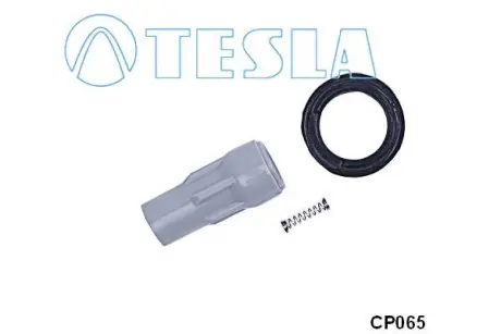 Наконечник дроту високовольтного Chrysler 300C 2.7, 3.5i BLATNA TESLA CP065