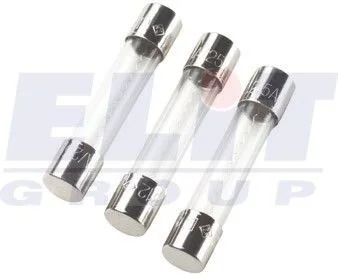 Запобіжник Скляний(великий тип) 25A BLATNA TESLA FGL3.250.010