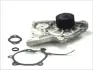 Насос охолоджуючої рідини THERMOTEC D10301TT (фото 1)
