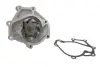 Насос охолоджуючої рідини THERMOTEC D10318TT (фото 1)