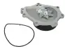 Насос охолоджуючої рідини THERMOTEC D12089TT (фото 2)