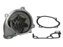 Насос охолоджуючої рідини THERMOTEC D13028TT (фото 1)