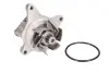 Насос охолоджуючої рідини THERMOTEC D13038TT (фото 1)