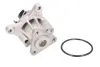 Насос охолоджуючої рідини THERMOTEC D13038TT (фото 2)