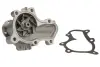 Насос охолоджуючої рідини THERMOTEC D15037TT (фото 1)