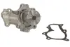 Насос охолоджуючої рідини THERMOTEC D15037TT (фото 2)