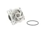 Насос охолоджуючої рідини THERMOTEC D15045TT (фото 1)