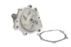 Насос охолоджуючої рідини THERMOTEC D18006TT (фото 1)