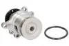 Насос охолоджуючої рідини THERMOTEC D1B016TT (фото 1)