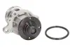 Насос охолоджуючої рідини THERMOTEC D1B016TT (фото 2)