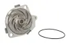Насос охолоджуючої рідини THERMOTEC D1F035TT (фото 1)