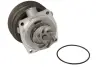 Насос охолоджуючої рідини THERMOTEC D1F070TT (фото 1)