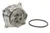 Насос охолоджуючої рідини THERMOTEC D1G002TT (фото 1)