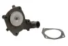 Насос охолоджуючої рідини THERMOTEC D1G022TT (фото 1)