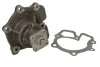 Насос охолоджуючої рідини THERMOTEC D1G026TT (фото 2)