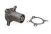 Насос охолоджуючої рідини THERMOTEC D1M002TT (фото 2)