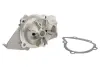 Насос охолоджуючої рідини THERMOTEC D1P000TT (фото 1)
