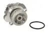 Насос охолоджуючої рідини THERMOTEC D1W002TT (фото 1)
