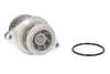 Насос охолоджуючої рідини THERMOTEC D1W044TT (фото 1)