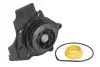 Насос охолоджуючої рідини THERMOTEC D1W052TT (фото 1)