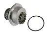 Насос охолоджуючої рідини THERMOTEC D1X009TT (фото 1)