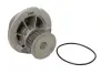Насос охолоджуючої рідини THERMOTEC D1X041TT (фото 2)