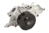 Насос охолоджуючої рідини THERMOTEC D1Y078TT (фото 2)