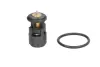 Термостат системи охолодження THERMOTEC D2A005TT (фото 1)